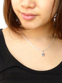 pe1760 ����С�925 �ڥ����� ��ǥ����� �ڥ����ȥȥåפΤ� ��������������Τ�������ŷ�Ȥ��� ����С� ���������꡼ �ͥå��쥹 ŷ�� �ߥ��ƥ��å��������� ����