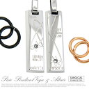 nec00176 ペアジュエリー・ペアアクセサリー ステンレス ネックレス リング×プレートペアネックレス ペアネックレス ステンレス メンズ・レディース ブラック ピンクゴールド ジルコニア(4)