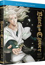ブラッククローバー 第3期パート2 113-120話コンボパック ブルーレイ+DVDセット【Blu-ray】