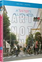妹さえいればいい。 全12話BOXセット ブルーレイ【Blu-ray】