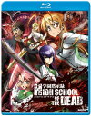 商品内容学園黙示録 HIGHSCHOOL OF THE DEAD 全12話+OVABOXセット 新盤 ブルーレイ【Blu-ray】北米　正規品【※確認事項※】を必ずご確認いただき再生環境をご承諾後にご購入お願いたします。再生環境が理由またはメーカー発注後のお客様都合によるご返品にはご対応できません事、ご了承ください。発売日：2023/07/25■音声　：日本語 / 英語■字幕　：英語■BD規格　：Code A ※ご視聴には国コードの設定が必要（PS3，4はそのままご視聴可能）な場合があります■詳細　：Blu-ray 枚組-TV版ACT1 Spring of the DEAD ACT2 Escape from the DEAD ACT3 Democracy under the DEAD ACT4 Running in the DEAD ACT5 Streets of the DEAD ACT6 In the DEAD of the night ACT7 DEAD night and the DEAD ruck ACT8 The DEAD way home ACT9 The sword and DEAD ACT10 The DEAD'S house rules ACT11 DEAD storm rising ACT12 All DEAD'S attack. -OVA Drifters of the Dead尺こそ1話分に満たないが、孝達が床主市脱出後に無人島を訪れて露出過多の水着姿に着替えたり、とある理由から錯乱かつ興奮して肉体関係を結びそうになるなど、セクシー要素はテレビアニメ版以上に強調されている。 ※確認事項※・ブルーレイについて　リージョンコードは日米共通ですが、こちらの商品はご視聴されるデッキの「国コード」を設定で「日本以外」に設定する必要がある場合があります。　ご購入の前にお持ちのデッキが国コードをアメリカ等に変更できるかどうかご確認ください。　PS3，PS4では設定なしでご視聴可能です。・音声について　【日本語音声あり】の商品については日本で発売されている商品と同様に日本語オリジナル音声でご覧頂けます。※発送方法※日本郵便ゆうパケット　追跡番号付きにて発送となります。（代引不可）ギフトラッピングはご対応できません。※商品の納期について※【在庫あり】の場合即納。ご購入確定後、1〜2営業日（休業日除く）にて発送いたします【取寄せ】の場合ご購入確定後、メーカー（アメリカ，ヨーロッパ）より取り寄せ。ご注文確定後1〜3週間で弊社到着。翌日〜翌々日（休業日除く）に発送【予約】の場合発売後、メーカー（アメリカ，ヨーロッパ）より取り寄せ。発売から1〜3週間で弊社到着。翌日〜翌々日（休業日除く）に発送