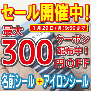 【平日正午までの注文で当日出荷】【ランキング1位】布用アイロンシール 名前シール 算数セット 2点セットB おなまえシール 漢字 ワンポイント アイロン 入学準備 工場 ネームシール 入学 入園 アイロン不要 英字 おなまえしーる 洋服 防水 布用 耐水 介護 名前