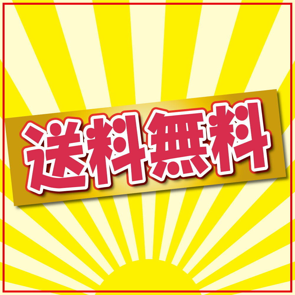 お名前入り乳歯ケース トゥースケース おなまえ入れ 乳歯保管ケース 名入れ こども 送料無料 お名前シール工場 納期区分C