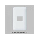 パナソニック フルカラー モダンプレート 1コ用 ホワイト WN6001SW