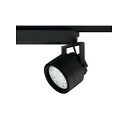 LEDスポットライト HID100Wクラス 電球色3000K 光束2971lm 配光角45° ブラック XS256338