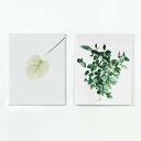 【2枚セット】ナチュラルの壁掛けアートセット ナチュラル 北欧 2枚セット( 32×41cm 2枚) ウォールアート 壁掛け おしゃれ 北欧 モダン 新築祝い 開店祝い 結婚祝い お洒落 玄関 寝室 リビング 応接室