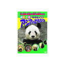 アジアのどうぶつ DVD 動物 アニマル オランウータン・トラ・ゾウ・パンダ ほか キッズ 子ども 男の子 女の子