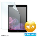 サンワサプライ 第9/8/7世代iPad10.2インチ用抗菌・抗ウイルス光沢フィルム LCD-IPAD12ABVG(2)