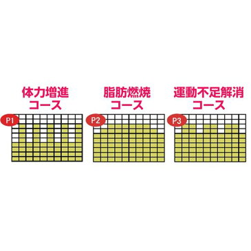 NEWプログラム内蔵お散歩健康ウォーカー