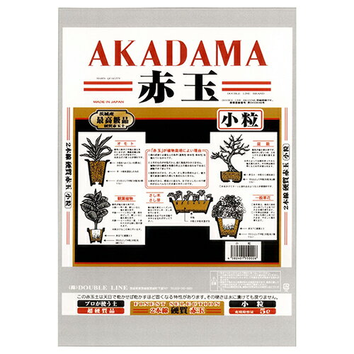 GS {dԋʓy 5L ^Cv |p엿 AKADAMA  K[fjO