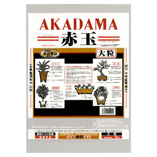 GS {dԋʓy嗱 5L 嗱^Cv |p엿 AKADAMA  K[fjO