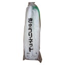 キュウリネット 18cm目