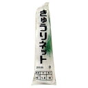 キュウリネット 18cm目