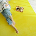 190x190cm ホリデープラス サンシャイン ラグ マット リビングラグ すべり止め加工 はっ水 撥水 洗える オールシーズン おしゃれ ホットカーペット 床暖房 高級感(3)