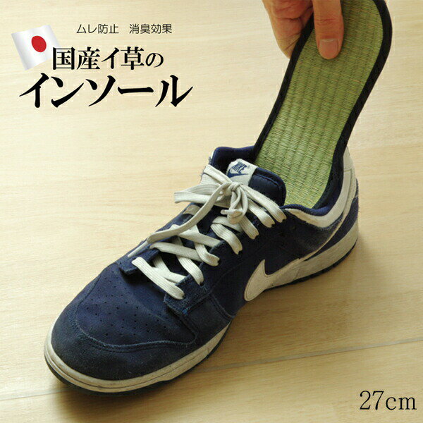 インソール メンズ 消臭 抗菌 い草インソール ネイビー 約27cm 裏面不織布 吸湿 におい対策 中敷 蒸れ防止 天然素材