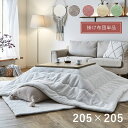 こたつ布団 正方形 無地調 約205×205cm 大人可愛い おしゃれ リバーシブル ふわふわ タッチ感 シャビーシック 韓国風インテリア ふっくら 抗菌 防臭...