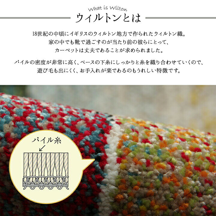 玄関マット 室内 トルコ製 ウィルトン織り 約70×120cm 抗菌 防臭 消臭 [3]