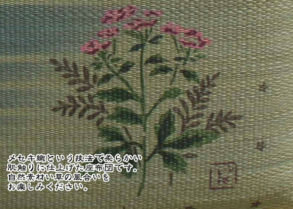 送料無料 純国産 捺染返し い草座布団 藤袴 ふじばかま 5枚組 約55×55cm×5P ひんやり クッション性 座蒲団 セット ザブトン ざぶとん 日本製 イ草座布団 いぐさ イ草 井草 い草 おしゃれ かわいい 和風 和室 客間 宴会場 座敷 席 居酒屋