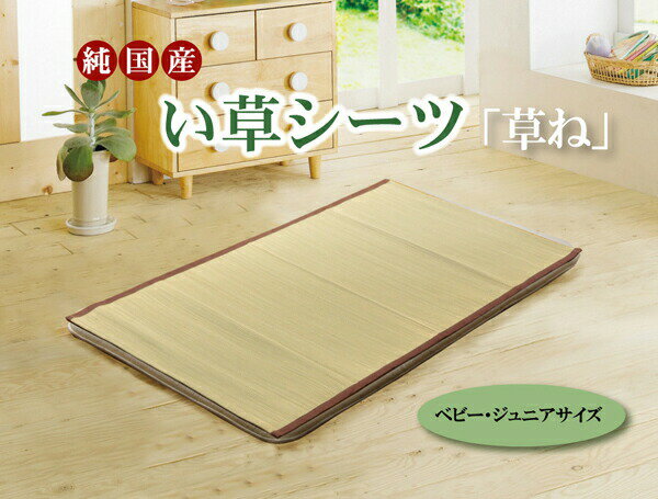 送料無料 い草 敷きパッド い草シーツ ネゴザ 国産 草ね 汗取りP 約70×120cm ベビー ジュニア 赤ちゃん キッズ 畳み ねござ 寝ござ い草寝ござ 寝茣蓙 ネゴザ 和風 涼感 ひんやり 敷きパッド 敷パッド い草マット おしゃれ