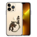 単品 iPhone13 Pro 側面ソフト 背面ハード ハイブリッド クリア ケース 柔道 払腰