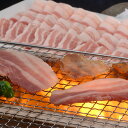 山形県食肉公社認定 山形豚 バラ焼肉（500g） 2
