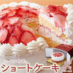 スイーツの王様！たっぷり生クリームといちごのショートケーキ 冷凍 お誕生日 クリスマス 結婚記念日