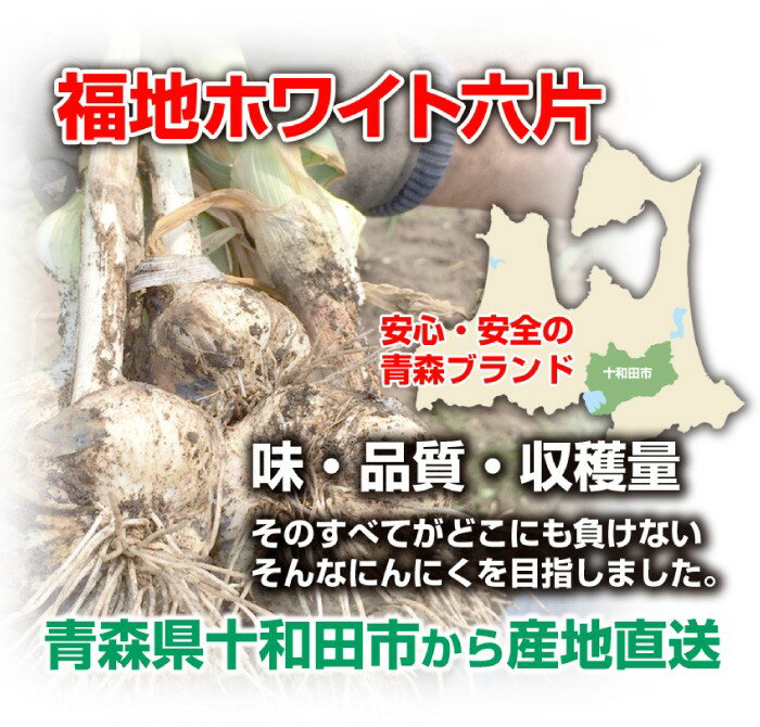 【令和5年産】にんにく A品Sサイズ 2kg【送料無料】青森県産 福地ホワイト六片 スタミナ 料理 肉 食品 香味野菜 ニンニク 大蒜 健康のために 3