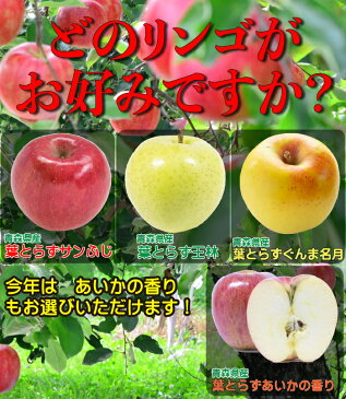 りんご 10kg 訳あり 送料無料 青森県産 40玉前後 令和2年度 葉取らずりんご 蜜入り お得用 自宅用に サンふじ 王林 ぐんま名月 あいかの香り ミックス 林檎
