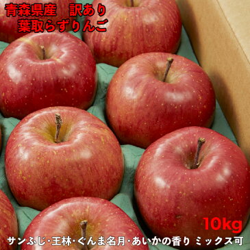 りんご 10kg 訳あり 送料無料 青森県産 40玉前後 令和2年度 葉取らずりんご 蜜入り お得用 自宅用に サンふじ 王林 ぐんま名月 あいかの香り ミックス 林檎