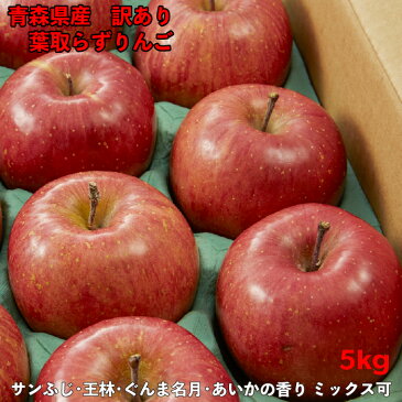 りんご 5kg 訳あり 送料無料 青森県産 20玉前後 令和2年度 葉取らずりんご 蜜入り お得用 自宅用に サンふじ 王林 ぐんま名月 あいかの香り ミックス 林檎