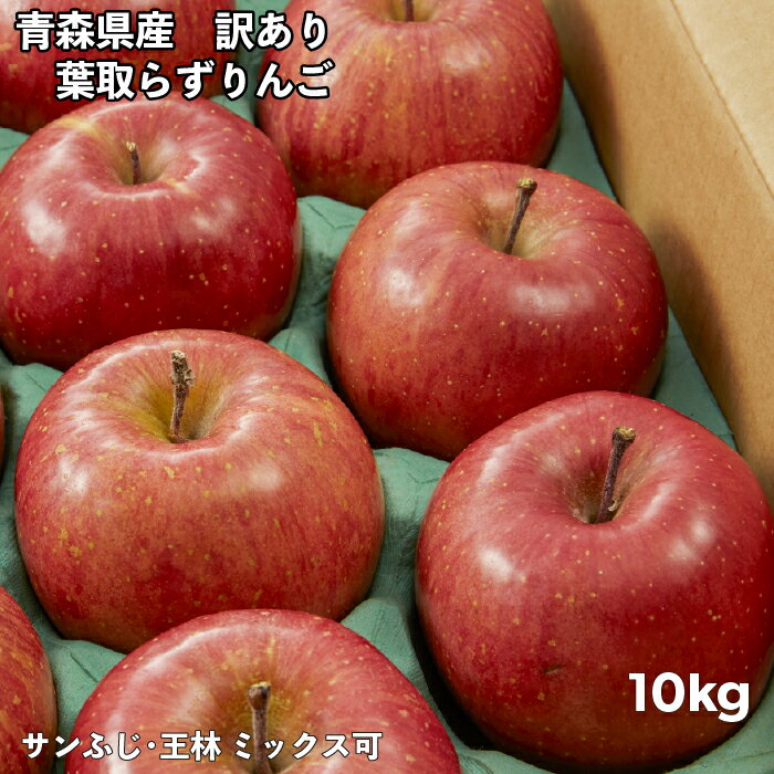 りんご 10kg 訳あり 送料無料 青森県産 40玉前後 令和4年度 葉取らずりんご 蜜入り お得用 自宅用に サンふじ 林檎のサムネイル