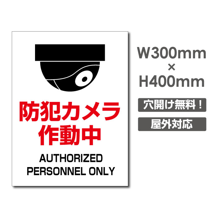 Ŕ hƃJ쓮 Ŕ 3mmA~W300mm~H400mm 24 hƃJ L^ ʕ hƃJ쓮 J J^撆plŔ v[gŔ camera-386