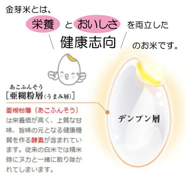 令和 元年産 タニタ食堂の金芽米 4.5kg×2袋 無洗米 ｜ [ 送料無料 コンビニ受取 ] タニタ食堂 タニタ タニタ米 米 白米 国内産 国産 金芽米 美味しい ご飯 カロリーオフ ヘルシー 低糖質 糖質制限 糖質オフ 糖質カット ミツハシライス 令和