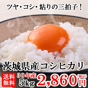 【送料無料】30年産 茨城県産 コシヒカリ 5kg｜こしひかり 米 白米 ミツハシラ...