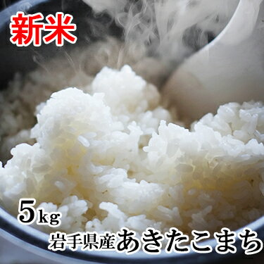 新米 【送料無料】令和 元年産 岩手県産 あきたこまち 5kg｜米 白米 ミツハシライス お米 おこめ 日本米 いわて岩手県 岩手 アキタコマチ 国内産 国産 ミツハシ ふっくら 令和元年 産 美味 美味しい 【コンビニ受取対応】