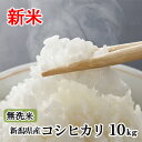 新米 【送料無料】 令和 元年産 無洗米 新潟県産 コシヒカ...