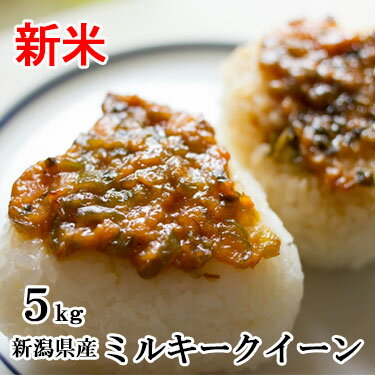 新米 【送料無料】 令和 元年産 新潟県産 ミルキークイーン 5kg ｜米 ミツハシ...