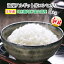 新米 特別栽培米 富山県産 海藻 アルギット米 コシヒカリ 5kg | 送料無料 2年産 米 ミツハシライス お米 おこめ 日本米 こしひかり 国内産 国産 ミツハシ ふっくら 令和 美味 美味しい