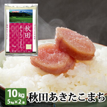 秋田あきたこまち 10kg (5kg×2本) 令和 2年産 ｜ [送料無料] あきたこまち 米 白米 ミツハシライス お米 おこめ 人気 秋田県 定番 日本米 人気 国内産 国産 ミツハシ 令和2年 産 美味 美味しい 【コンビニ受取対応】