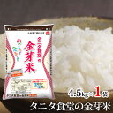 令和3年産 特別栽培米 熊本 森のくまさん 玄米 白米 分づき 九州のお米