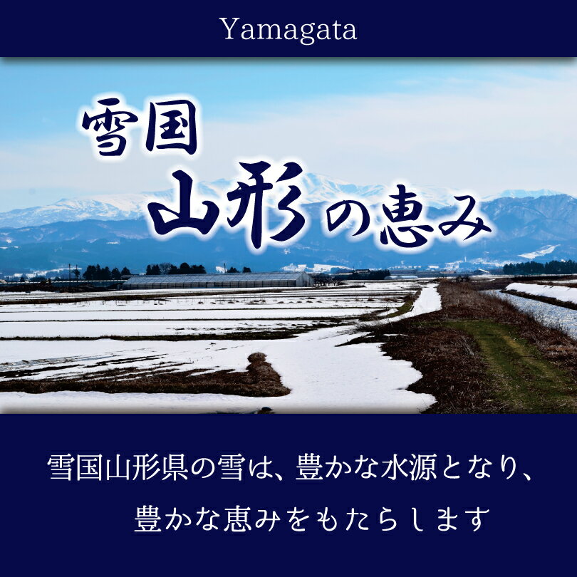 人気のつや姫に続くブランド米。粒立ちしっかり、うっとりする白さです　新米 山形県産 雪若丸 5kg 10kg 20kg 令和 7年産 ｜ 送料無料 ミツハシライス 一般米 精米 白米 国産 国内産 山形県 ゆきわかまる ユキワカマル 人気 おすすめ 美味しい おいしい 定番 5キロ 10キロ 20キロ 粒感 粘り コンビニ受取対応 幸浦