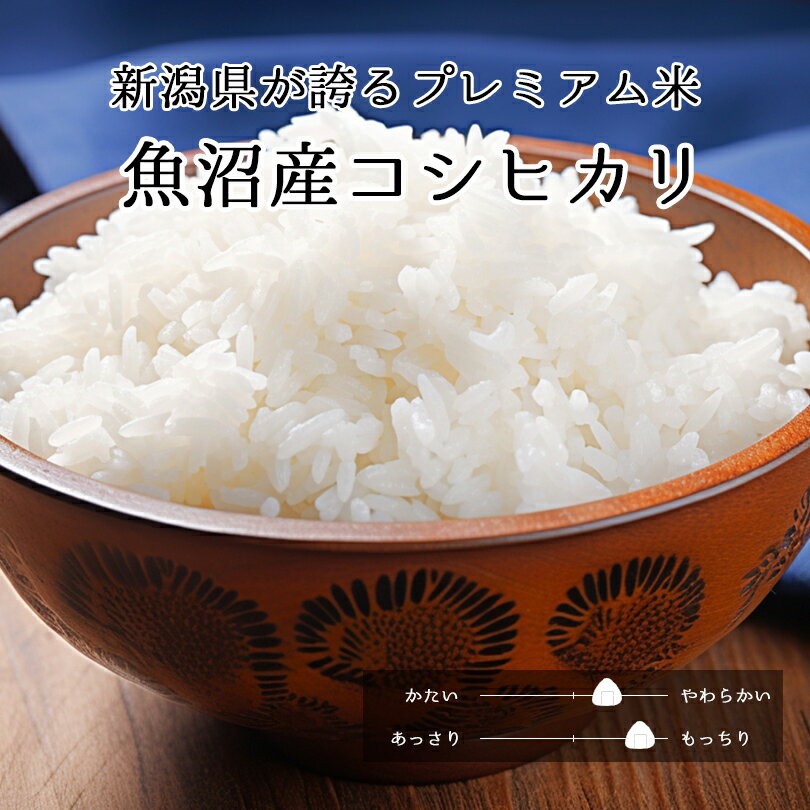 サンプル画像2