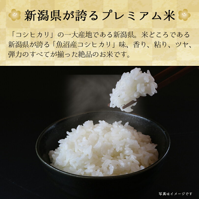 サンプル画像3