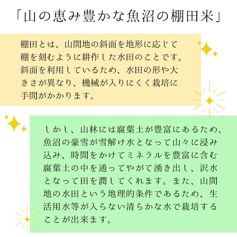 thum3