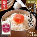 新米 無洗米 秋田県産 ひとめぼれ 5kg～ 令和 5年産 ｜ 送料無料 ミツハシライス 白米 国産 国内産 秋田 ヒトメボレ 人気 おすすめ 美味しい おいしい 定番 5kg 10kg 20kg 5キロ 10キロ 20キロ もっちり