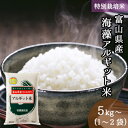 特別栽培米 富山県産 海藻 アルギット米 コシヒカリ 5kg～ 令和 4年産 ｜ 送料無料 ミツハシライス 一般米 精米 白米 国産 国内産 新潟県 こしひかり 人気 おすすめ 美味しい おいしい 定番 5kg 10kg 20kg 5キロ 10キロ 産直