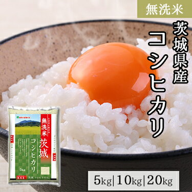 無洗米 茨城県産 コシヒカリ 5kg 10kg 20kg 令和 6年産 ｜ 送料無料 ミツハシライス 一般米 精米 白米 国産 国内産 茨城県 こしひかり 人気 おすすめ 美味しい おいしい 定番 5キロ 10キロ 20キロ ふっくら コンビニ受取対応 幸浦のサムネイル