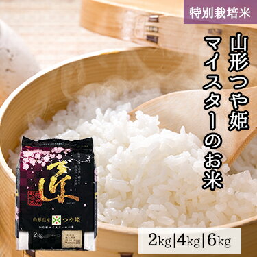 山形県産 つや姫 マイスターのお米 2kg 4kg 6kg 令和 5年産 | 送料無料 ミツハシライス 一般米 精米 白米 国産 山形 つやひめ 人気 おすすめ 美味しい おいしい ギフト 2キロ 4キロ 6キロ ブランド 特別栽培米 生産者限定 減農薬 栽培 幸浦