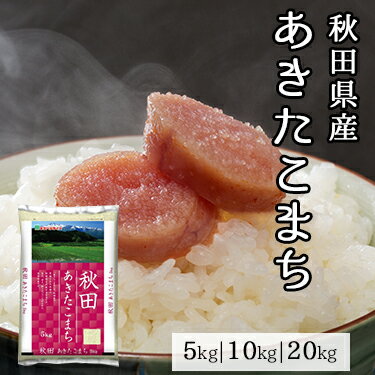 秋田県産 あきたこまち 5kg 10kg 20kg 令和 5