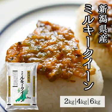 新潟県産 ミルキークイーン 2kg 4kg 6kg 令和5年産 ｜ 送料無料 ミツハシライス 一般米 精米 白米 国産 新潟 ミルキークィーン 人気 おすすめ 美味しい おいしい 2キロ 4キロ 6キロ もちもち 低アミロース 粘り コンビニ受取対応 幸浦